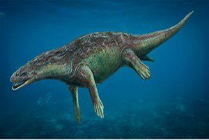 El dragón del Atance