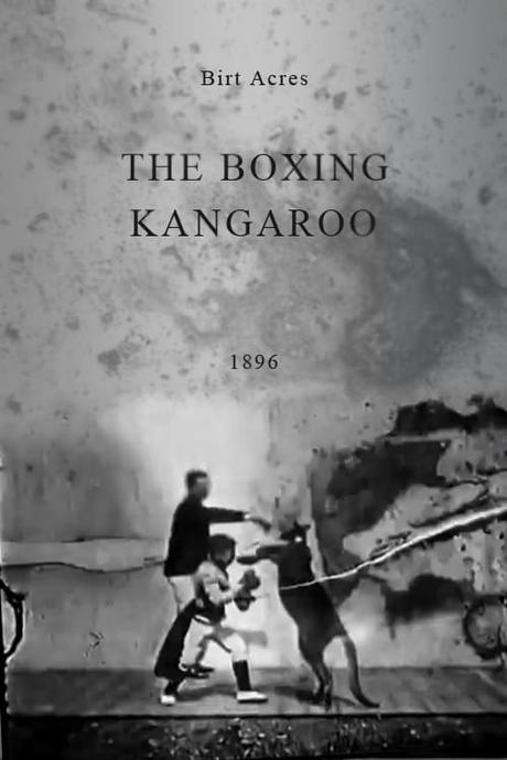 The Boxing Kangaroo 1896