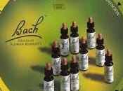 Dejar fumar flores Bach
