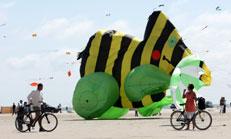 Festival Internacional de Cometas de Fano  16.-19 Junio 2011