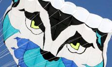 Festival Internacional de Cometas de Fano  16.-19 Junio 2011