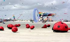 Festival Internacional de Cometas de Fano  16.-19 Junio 2011