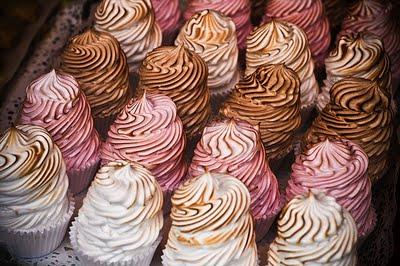 Dakota D Journal & Sevilla Fashion