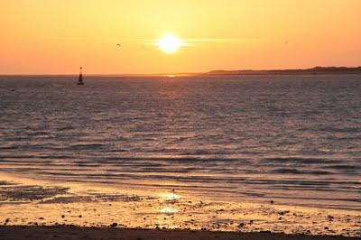 Dakota D Journal & Sevilla Fashion