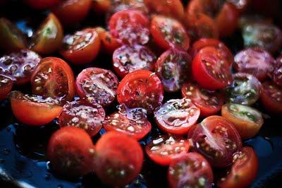 Dakota D Journal & Sevilla Fashion