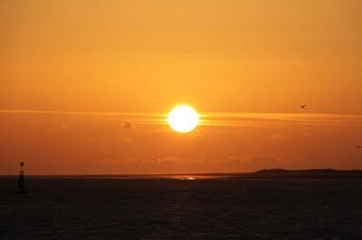 Dakota D Journal & Sevilla Fashion