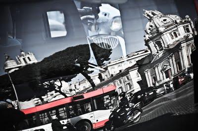 Dakota D Journal & Sevilla Fashion