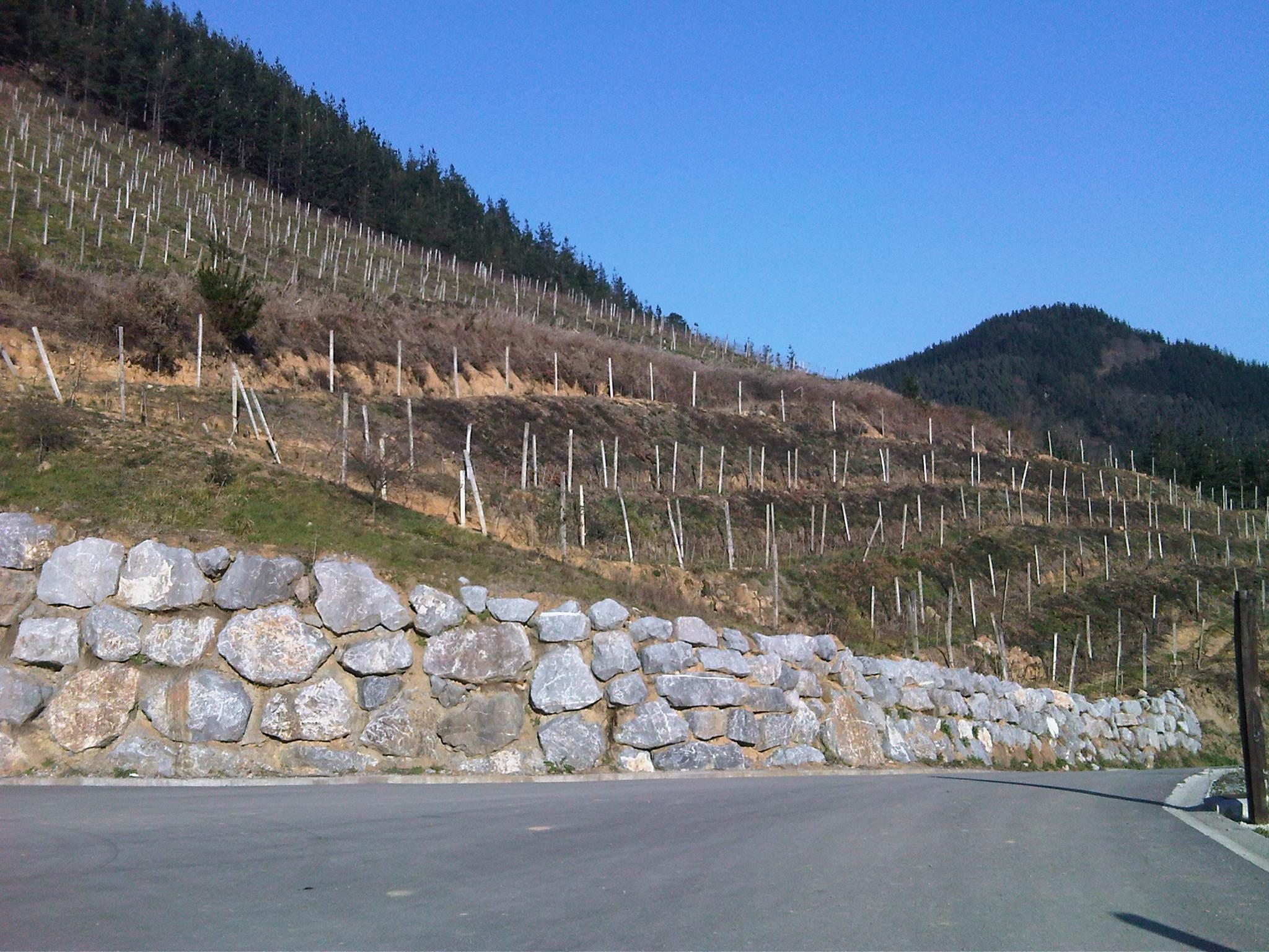 Txakoli un vino para apuntalar el nacionalismo vasco