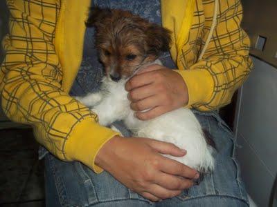 TOFEE - LE DIERON PARA COMER EN UNA SEMANA DOS RODAJAS DE CHORIZO...