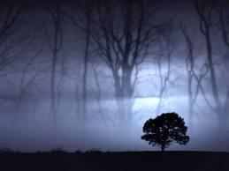 Siempre saldra un sol...aunque no le veamos