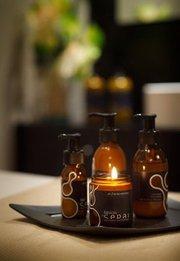 Lo último de SEPAI se bebe!!