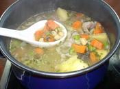 Rabito Cerdo (tipo puchero)