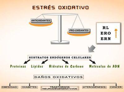 Avances en el diagnóstico precoz del Alzheimer mediante marcadores biológicos