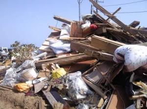 Experiencia de actos voluntarios en Fukushima