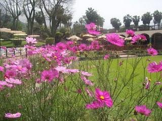 Mujeres emprendedoras y grandes capitales humanos