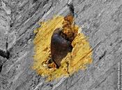 Palomas aparecen grietas