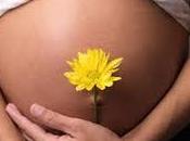 Flores Bach embarazo