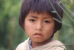 Los niños y las nuevas empresas sociales.