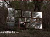 Exposición Almalé/Bondía