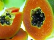 Papaya para estreñimiento