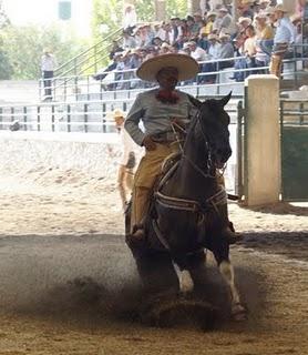 Regionales de Texcoco “B” Logró 333 en el Circuito Excelencia Charra