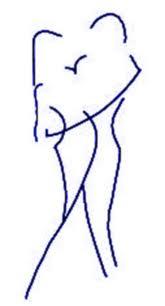 LA TERAPEUTA SEXUAL RESPONDE.