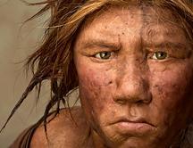 Hallan un esqueleto casi completo de una hembra neandertal en Murcia Hallan un esqueleto casi completo de una hembra neandertal en Murcia