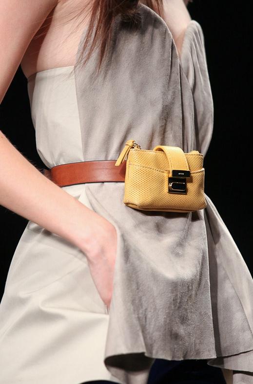 Purse in the Belt