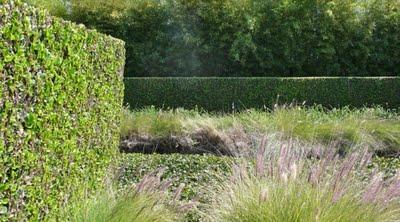 Xerojardines: jardines sostenibles