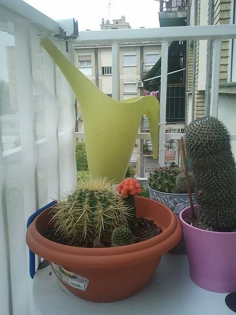 Ikea Hack: Las regaderas para pinzas de la ropa de Elena