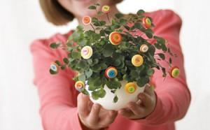 ornamentos_boton_para_plantas Ponte de mil y un botones