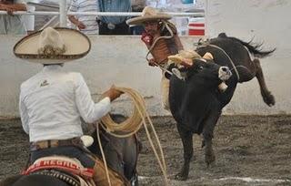 3 Potrillos “C” a lo Grande Sublíderes con sus 363