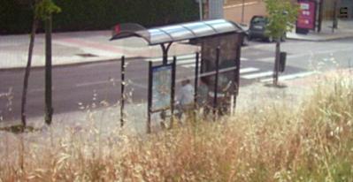 Animismo en la calle - Parada Autobús