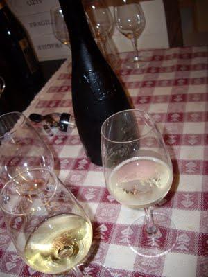 VINOS, PROYECTOS, ANIVERSARIOS, PROPUESTAS Y MUCHA ILUSIÓN