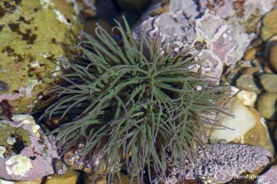 Distintas estrategias para un mismo fin