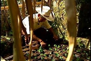 Cine Indigenista Mexicano en la Cineteca Nacional