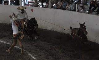 3 Potrillos “A” Meten 427