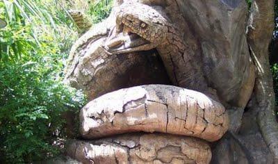 10 árboles peculiares