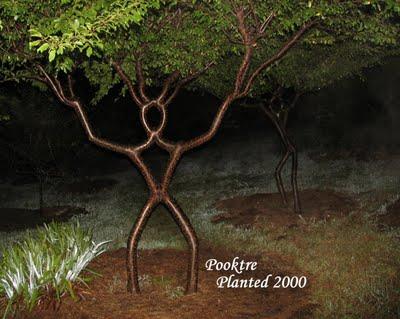 10 árboles peculiares