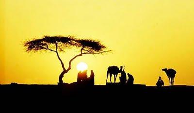 10 árboles peculiares