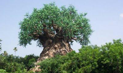 10 árboles peculiares