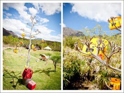 Árbol de cámaras deshechables para tu boda