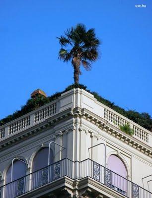 Casas de lujo a la venta