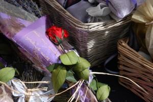 Emocion o sentimiento (Sant Jordi, Barcelona, abril 2011) UNA EMOCIÓN ES, AHORA… SIN MÁS