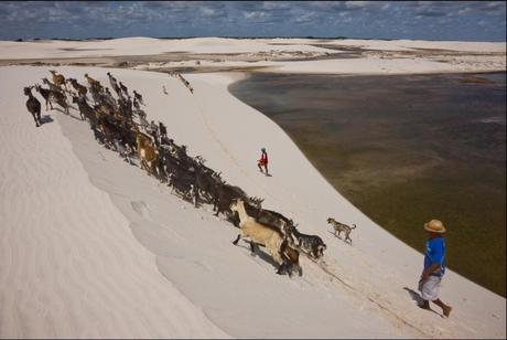 George Steinmetz – Las dunas de Brasil