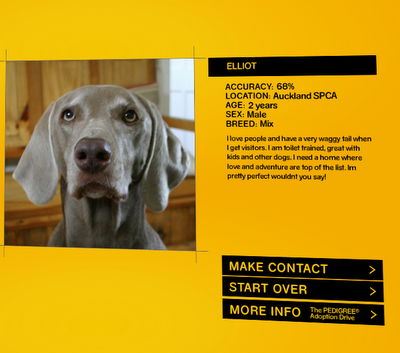 ¿Qué perro se parece más a ti? Descúbrelo con Doggelganger