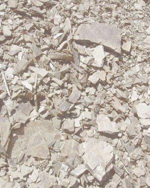 PARDELASSES 2008 ( Celler Aixalà i Alcait Pardelasses - DOQ. Priorat )