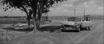 Obstinación solitaria (2)