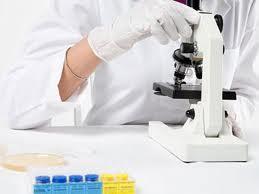 Varias investigaciones de enfermedades crónicas buscan la solución en la alimentación diaria del enfermo