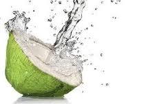“Líquido de la Vida” o agua de Coco dentro la tradición ayurvédica